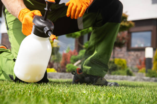 Best Residential Pest Control  in Bamberg, SC